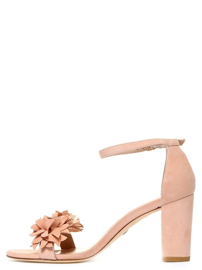 Shop Stuart Weitzman Women's Pink Sandals