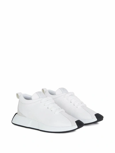 Shop Giuseppe Zanotti Design Men's White Leather Sneakers