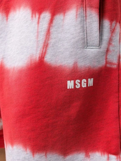Shop Msgm Men's Red Cotton Shorts