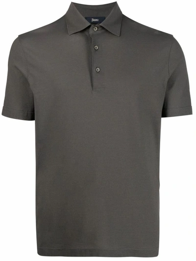 Shop Herno Men's Grey Cotton Polo Shirt