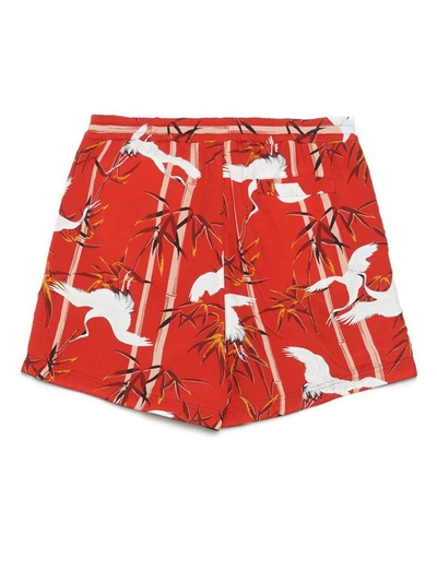 Shop Buscemi Men's Red Cotton Shorts