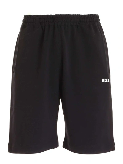 Msgm Logo-print Shorts In Black