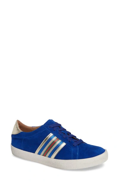 Shop Linea Paolo Kyson Sneaker In Blue/ Gold Suede