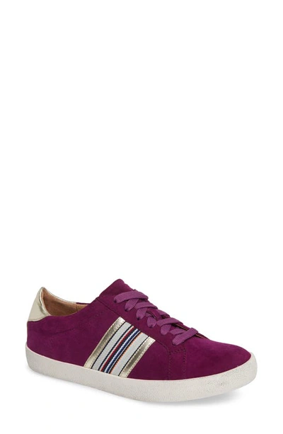 Shop Linea Paolo Kyson Sneaker In Purple/ Gold Suede