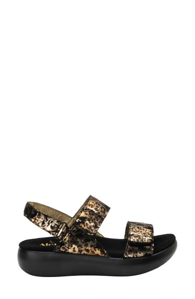Shop Alegria Bailee Slingback Sandal In Glammo Leather