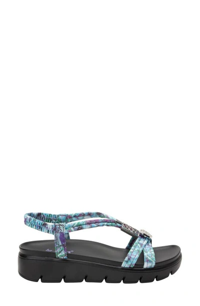 Shop Alegria By Pg Lite Roz Slingback Sandal In Itchycoo Purple Leather