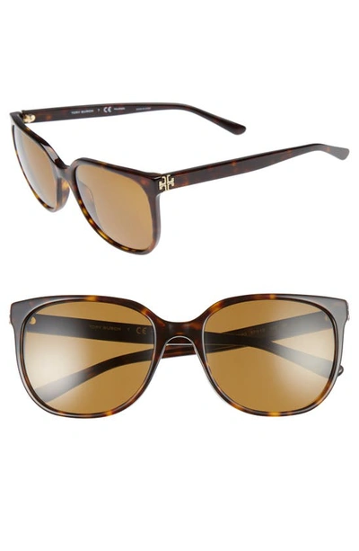Shop Tory Burch 57mm Polarized Sunglasses In Dark Tortoise