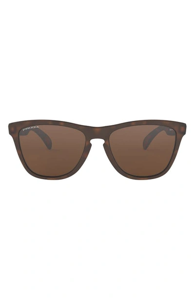 Shop Oakley Frogskins 55mm Square Sunglasses In Brown Tortoise/ Brown