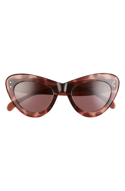 Shop Alaïa 52mm Cat Eye Sunglasses In Brown/ Brown