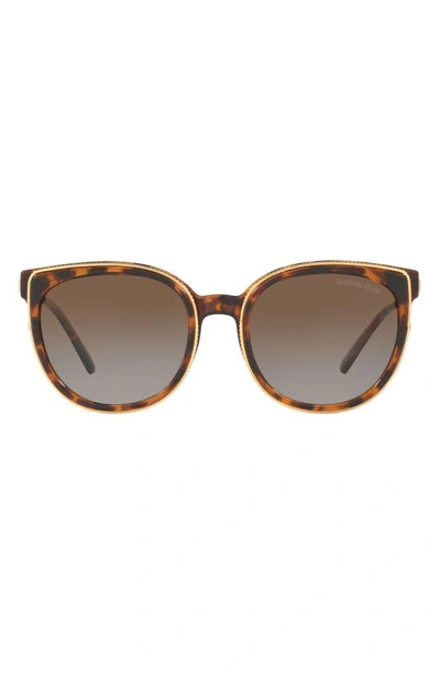 Shop Michael Kors 55mm Polarized Cat Eye Sunglasses In Dark Tortoise/ Brown Gradient