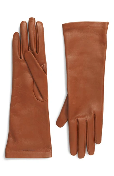 Shop Saint Laurent Lambskin Leather Gloves In Camel