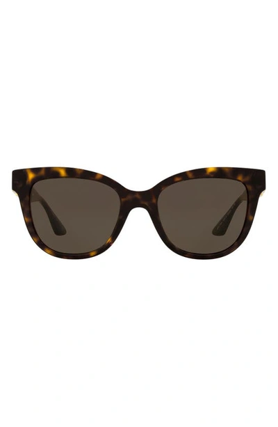 Shop Versace 54mm Cat Eye Sunglasses In Havana/ Dark Brown