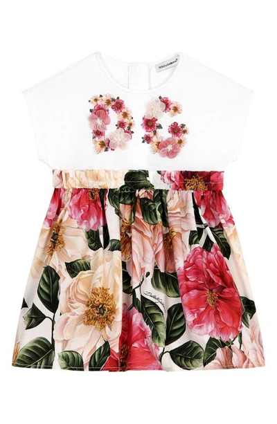 Shop Dolce & Gabbana Floral Print Jersey & Poplin Dress In Camelie Rosa