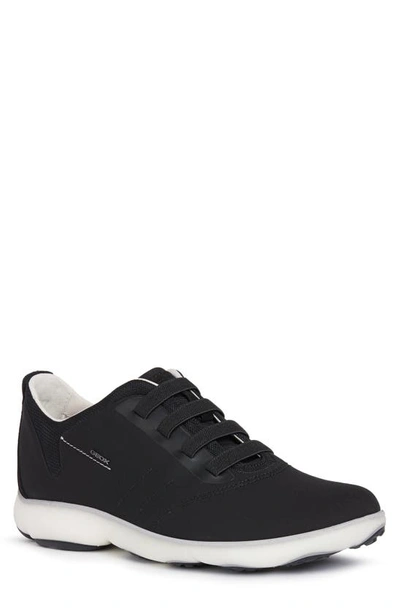 Shop Geox Nebula Sneaker In Black/ Black