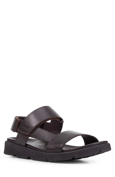 Shop Geox Xand 2s Sandal In Brown Cotto
