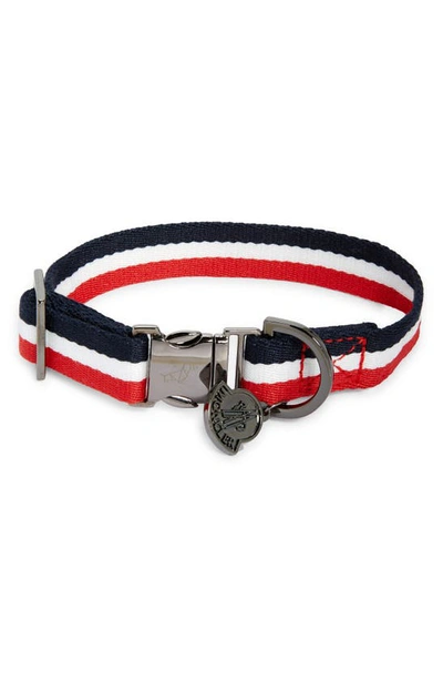 Shop Moncler Genius Moncler Poldo Collare Dog Collar In Cadet