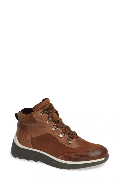 Shop Otbt Commuter Sneaker In Medium Brown Leather