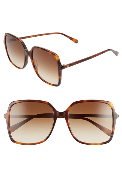 Shop Gucci 57mm Square Sunglasses In Havana/ Brown Gradient