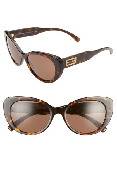Shop Versace 54mm Cat Eye Sunglasses In Havana/ Brown Solid