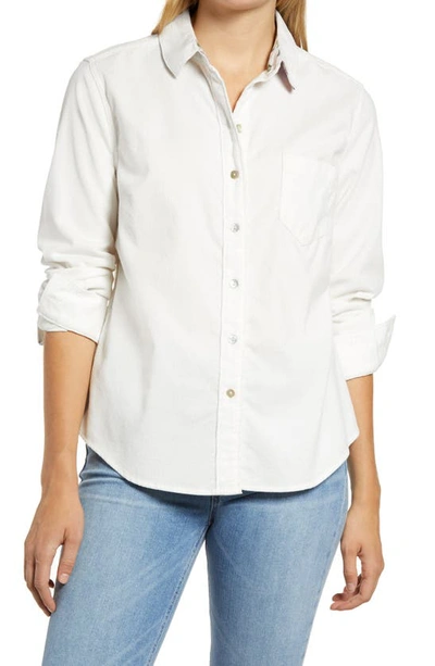 Shop Tommy Bahama Corduroy Shirt In Lace