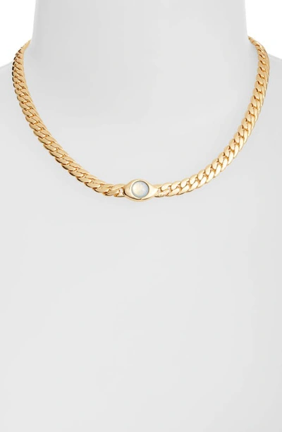 Shop Jenny Bird Oko Choker Necklace In High Polish Gold