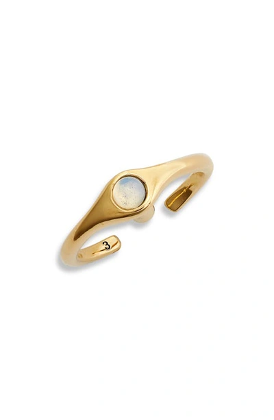 Shop Jenny Bird Denni Pinky Ring In High Polish Gold