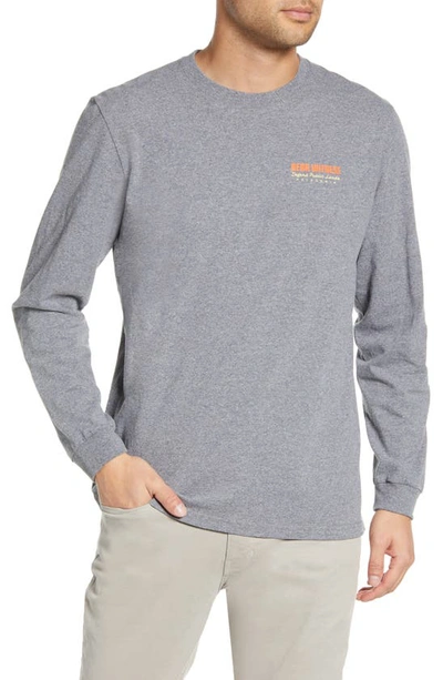 Shop Patagonia See And Believe Long Sleeve Responsibili-tee Graphic T-shirt In Gravel Heather