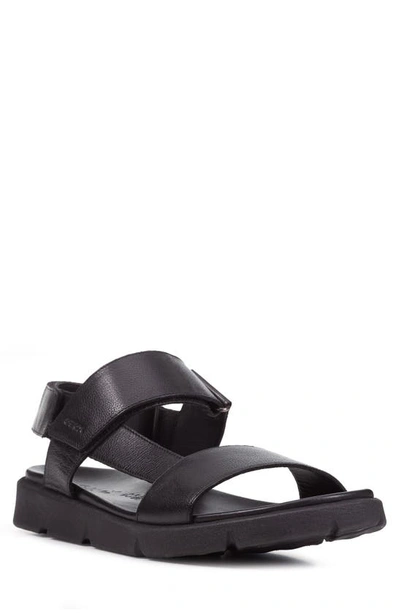 Shop Geox Xand 2s Sandal In Black