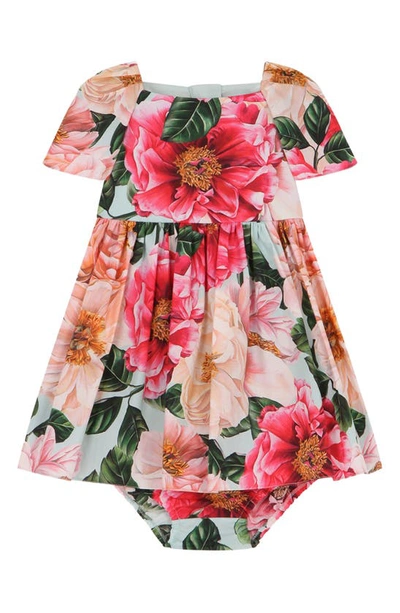 Shop Dolce & Gabbana Camellia Floral Print Cotton Poplin Dress In Camelie Rosa