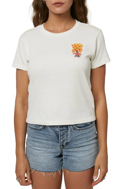Shop O'neill Dylan Graphic Tee In Naked