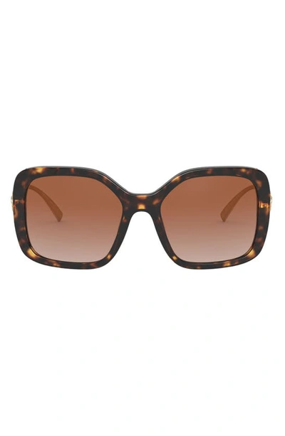 Shop Versace 53mm Polarized Square Sunglasses In Havana/ Brown Gradient