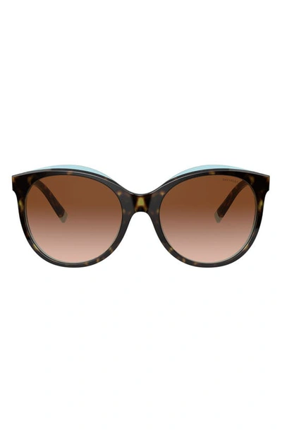 Shop Tiffany & Co 55mm Gradient Cat Eye Sunglasses In Havana Blue Tiffany Brown Grad