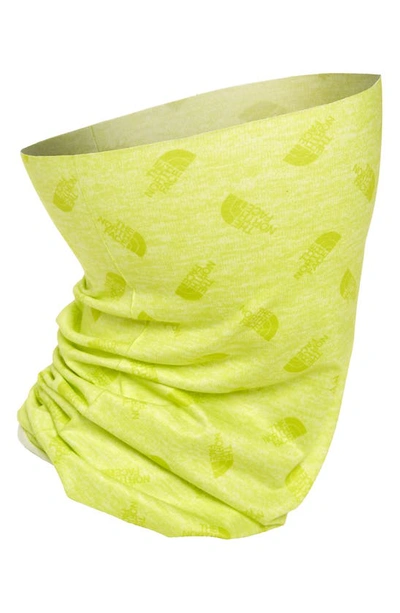 Shop The North Face Dipsea Cover It Neck Gaiter In Sulphur Spring Green