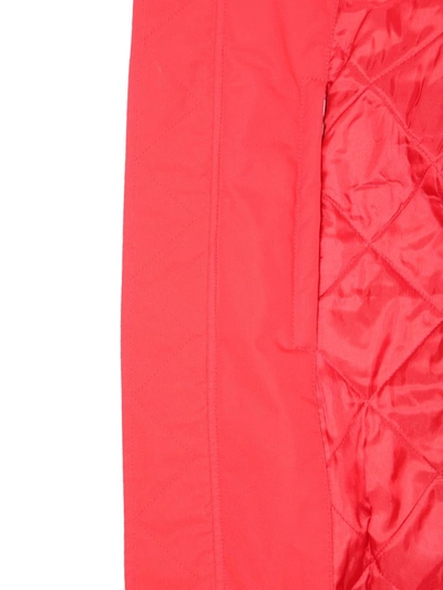 Shop Kenzo X Kansaiyamamoto Mountain Lion Bomber Jacket In Red