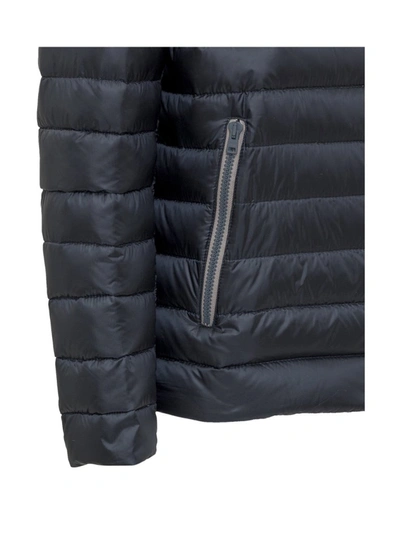 Shop Herno Padded Contrast Zip Jacket In Navy