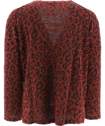 Shop Needles Leopard Jacquard Cardigan In Red
