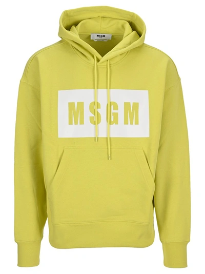 Shop Msgm Logo Printed Hoodie In Yellow