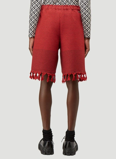 Shop Marine Serre Fringed Jacquard Shorts In Red