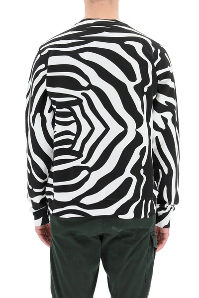 Shop Dsquared2 Zebra Print Sweatshirt In Multi