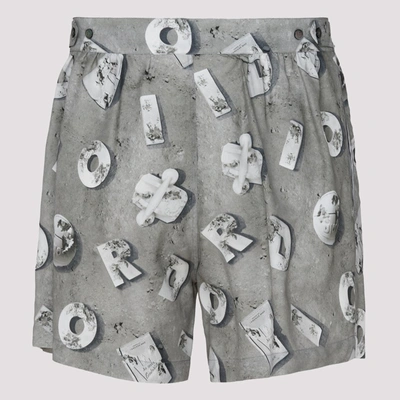 Shop Dior Homme X Daniel Arsham Printed Bermuda Shorts In Grey
