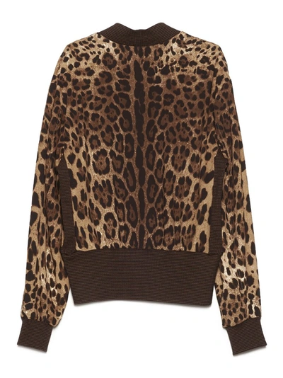 Shop Dolce & Gabbana Leopard Printed Bomber Jacket In Multi