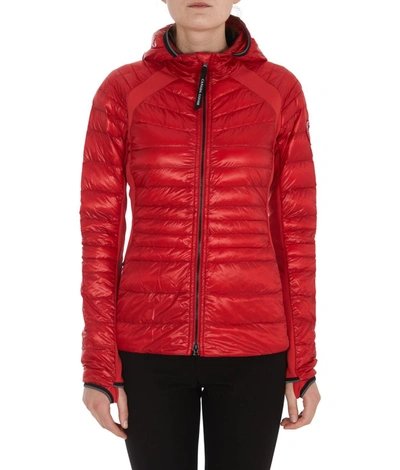 Shop Canada Goose Hybridge Lite Hooded Jacket In Red