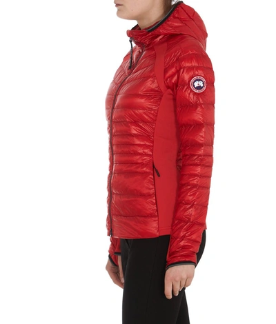 Shop Canada Goose Hybridge Lite Hooded Jacket In Red