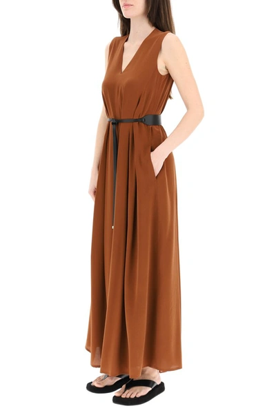 Shop Max Mara Studio V In Brown