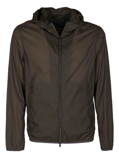 Shop Herno Zip In Brown