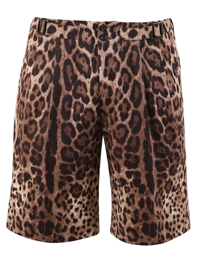 Shop Dolce & Gabbana Leopard Print Bermuda Shorts In Multi