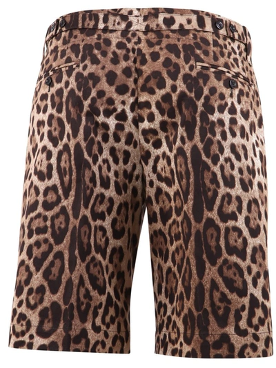 Shop Dolce & Gabbana Leopard Print Bermuda Shorts In Multi
