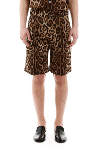 Shop Dolce & Gabbana Leopard Print Bermuda Shorts In Multi