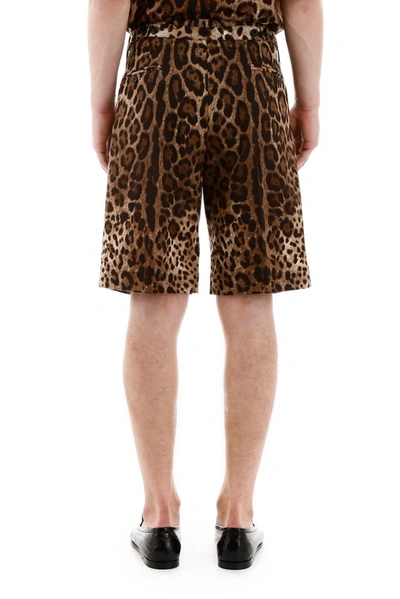 Shop Dolce & Gabbana Leopard Print Bermuda Shorts In Multi