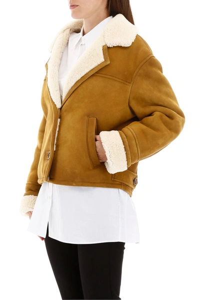 Shop Prada Shearling Buttoned Jacket In Brown